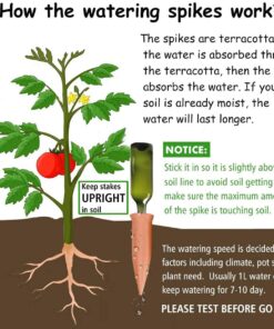 Alternative view of REMIAWY Plant Watering Devices 6 Pack Terracotta Vacation Plant Waterer Wine Bottle Watering Stakes Slow Release Plant Watering Spikes Perfect Self Watering Devices for Indoor Outdoor Plants