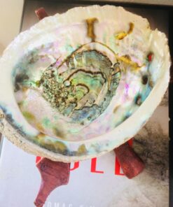 Alternative view of Govinda® Pearlized Abalone Shell Smudging Kit with Wooden Tripod Stand & White Sage Stick