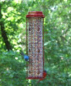 Perky-Pet 102 4 lb Squirrel Resistant Easy Feeder 23 719PxLbMDUL