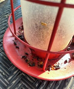 Cole's FS16 Flaming Squirrel Seed Sauce, 16-Ounce 1 28 719PyL457FL