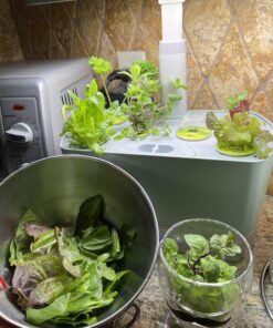 AeroGarden Gourmet Herb Seed Pod Kit - Herb Seeds for AeroGarden Indoor Garden, 6-Pod 22 719QDZqN2rL