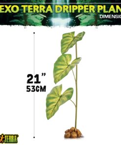 Exo Terra Dripper Plant, Large Standard Packaging 23 719R1UJkkNL