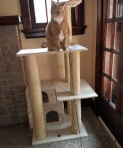 Go Pet Club Cat Tree, 50W x 26L x 72H, Beige 63 719SgIrSY1L