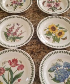 Portmeirion Botanic Garden Dinner Plate | Set of 6 Dinner Plates | Assorted Floral Motifs | Dishwasher, Microwave, & Oven Safe | 10.5 Inch | Made in England 22 719SjPSKRgL 2