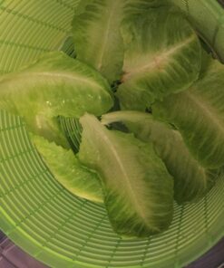 OXO Good Grips Salad Spinner,Green, Large Green Salad Spinner 49 719Tx0NAjcL