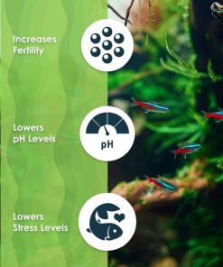 SunGrow 50 pcs Catappa Indian Almond Leaves for Betta Fish Tank Aquarium, 2” Water Conditioner Leaves, Leaf Also Suitable for Shrimp, Goldfish, Guppy and Frogs 50 Leaves 39 719Tyh06cuL