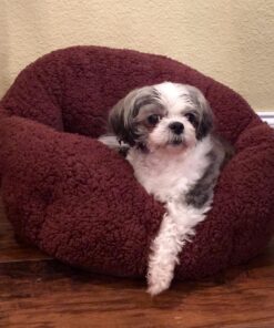 Four Paws Wee-Wee Superior Performance Pee Pads for Dogs - Dog & Puppy Pads for Potty Training - Dog Housebreaking & Puppy Supplies - 22" x 23" (150 Count),White 150 31 719Veke8fBL