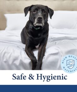 Cosy House Collection Everyday 1500 Series Bed Sheet Set - Ultra Soft & Cool Hotel Bedding - Deep Pocket - Wrinkle, Stain and Fade Resistant - 4 Piece Set (King, Purple) King 15 719VpurrDVL