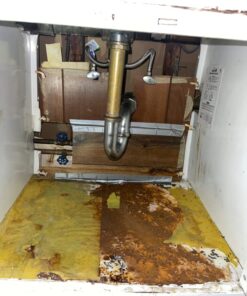 Catchmaster Mouse & Insect Super Glue Traps 30PK, Mouse Traps Indoor for Home, Extra Strength Sticky Pest Control Adhesive Tray for Catching Bugs, Rats & Rodents, Non Toxic Bulk Pre-Baited Glue Boards 65 719WIIwzL