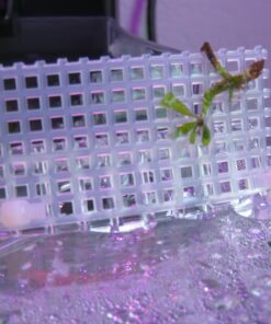 Aqueon Betta Falls 3 Section Aquarium Fish Tank With QuietFlow Power Filtration, Black 56 719Wu4lR0L