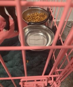 MidWest Homes for Pets Snap'y Fit Food Bowl | Pet Bowl, 20 oz. (2.5 cups) | Dog Bowl Easily Affixes to a Metal Dog Crate, Cat Cage or Bird Cage | Pet Bowl Measures 6L x 6W x 2H Inches,Silver 20 Ounces (2.5 cups) 46 719X375stZL