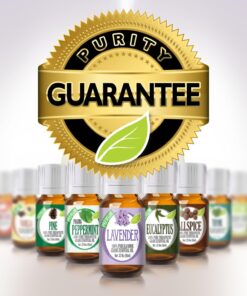 Healing Solutions Sinus Relief Therapeutic Grade Essential Oil, 10 ml (6-Pack) Sinus and Cough Set 0.33 Fl Oz (Pack of 6) 22 719X6c0g5hL