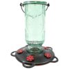 More Birds Vintage Hummingbird Feeder, Antique Glass Hummingbird Feeders for Outdoors, 5 Feeding Stations, 20 Ounces Vintage Green Standard Packaging 14 719XkyX979L