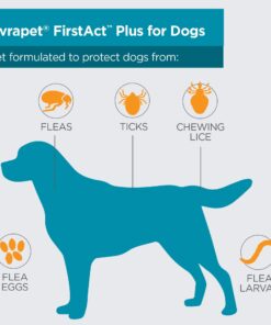 TevraPet FirstAct Plus Flea and Tick Topical for Dogs 45-88 Pounds, 3 Applicators 12 719b8XJj6fL