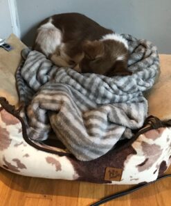 K&H Pet Products Heated Thermo-Kitty Mat, Indoor Heated Cat Bed, Pet Heat Pad for Indoor Cats and Small Dogs, Cat Heating Pad, Electric Thermal Warming Cat Bed Mat, Sage/Tan 12.5 X 25 Inches Pet Bed 48 719cnbqqTQL