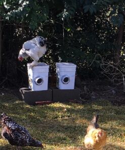 RentACoop 20 Pounds BPA-Free Chicken Feeder with Large Ports - Includes Lid, Anti-Roost Cone, Rain Hoods - Suitable for Chickens - Center Placement 27 719e370Zn8L