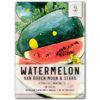 Seed Needs, Moon & Stars Watermelon Seeds for Planting "Van Doren" (Citrullus lanatus) Single Package of 20 Seeds - Heirloom, Non-GMO & Untreated 6 719gNAd8ZLL