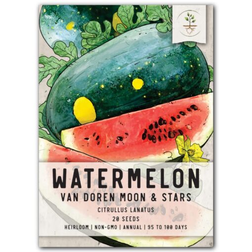 Seed Needs, Moon & Stars Watermelon Seeds for Planting "Van Doren" (Citrullus lanatus) Single Package of 20 Seeds - Heirloom, Non-GMO & Untreated