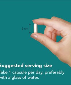 Vitamin Bounty Prebiotic Fiber Digestive Support - Gut Health Supplements for Women and Men, Dietary Fiber, Supports Digestive Health, Probiotics for Women & Men for Gas Relief - 60 Capsules 19 719iPTDXVqL 1