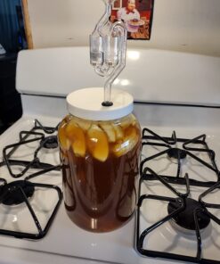 Lalvin EC-1118 Saccharomyces bayanus (10 Packs) 0.17 Ounce (Pack of 10) 16 719ikusjXRL