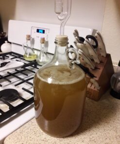 Glass Jug, 1 gal (Pack of 4) 19 719jVhya mL