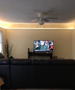 Chanzon 12V 5A LED Strip Power Supply 60W AC DC Adapter UL Listed for CCTV 2.1x5.5 2.5x5.5 Plug (Input 110V-220V, Output 12 Volt 5 Amp 60 Watt) Converter LED Driver Lighting Transformer 12 V 5 A 47 719jcyf4ofL