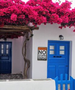 New Deco Warning No Stupid People Beyond This Point Rustic Metal Tin Sign Wall Decor Art 8x12 Inches (20x30cm) 14 719jhuuyVKL