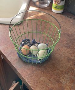 Ware Manufacturing Chicken Egg Basket 1 A 21 719lGkwqsL