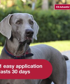 K9 Advantix II XL Dog Vet-Recommended Flea, Tick & Mosquito Treatment & Prevention | Dogs Over 55 lbs. | 4-Mo Supply 4 Pack XL Dog only 24 719n1vcTYpL 1