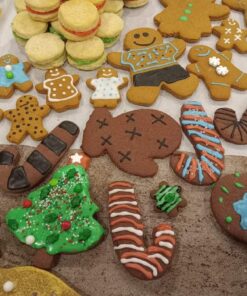 Free Hand Writer Bottles - 6 Easy Small Squeeze Bottles - 3 Each (1 and 2 Ounce) - Cookie Cutters, Cake and Baking Decoration, Food Coloring & Royal Icing Supplies for Writing (6 bottles) 6 Pieces 32 719nC9HLmoL