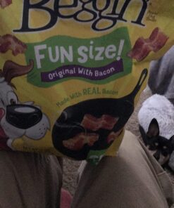Purina Beggin' With Real Meat Dog Treats, Fun Size Original With Bacon Flavor - 25 oz. Pouch 38 719qO cYBL