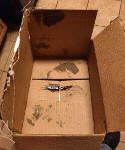 Five Star - 6022b_ - Star San - 32 Ounce - High Foaming Sanitizer 32 Fl Oz (Pack of 1) San- 32 oz 31 719qt4bZKnL