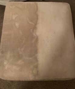 Folex Instant Carpet Spot Remover, 128oz Odor Free 128 Fl Oz (Pack of 1) 41 719xL5nhs1L