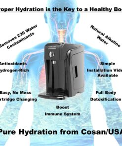 Pure Hydration Alkaline Water Machine | Hydrogen Infused Water | Water Purifier | Countertop Water Filter | Natural Water Ionizer | PH Water, Loaded with Antioxidants | Home Water Filter 22 719yoR7ErgL