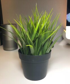 Ikea Artificial Potted Plant, Wheat Grass, 7.75 Inch 14 719yvJOHklL