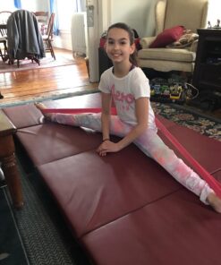 Ballet Stretch Band for Dance, Gymnastics, Cheerleading, Pilates. Improves Elastic Flexibility and Enhances Daily Stretching - Designed by PS Athletic Pink 19 71A 5BqnszL