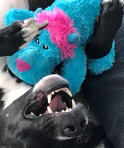 KONG - Cozie™ Rosie Rhino - Indoor Cuddle Squeaky Plush Dog Toy - For Medium Dogs 33 71A eqlrQRL