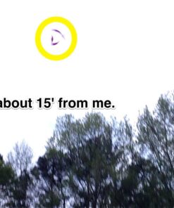 Aerobie 30C12 Orbiter Boomerang 29 71A0zNow0L