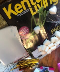 COOLAKE Clear Treat Bags 200 PCS (4" by 6") Cellophane Bag Clear Candy Bags with 200PCS Twist Ties for Wedding Gift Cookie Candy 200PCS 4" by 6" 26 71A2ry9iSkL