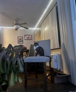 Leeleberd Led Lights for Bedroom 100 ft (2 Rolls of 50ft) Music Sync Color Changing RGB Led Strip Lights with Remote App Control Bluetooth Led Strip, Led Lights for Room Home Kitchen Decor Party 29 71A3ILl15JL