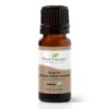 Plant Therapy Organic Atlas Cedarwood Essential Oil 100% Pure, USDA Certified Organic, Undiluted, Natural Aromatherapy, Therapeutic Grade 10 mL (1/3 oz) 0.34 Fl Oz (Pack of 1) 59 71A5vCqW0IL