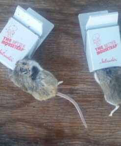 Snap-E 12-001-00-1 6 Pack Mouse Trap, Black 22 71A7xxckAlL