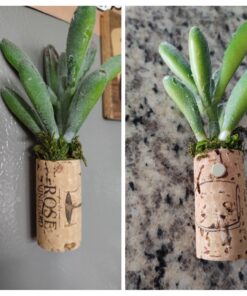 Premium 30 Pcs 5x3 mm Fine Clutter Small Magnets | Strong Magnets Fridge | Button Magnets | Small Magnets for Crafts | Mini Magnet | Small Circle Magnets | Bulk Magnets for Collars Whiteboard 46 71A8NAhjA2L