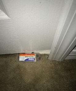 Terro Liquid Ant Killer Baits(6 Bait Stations Net Contents 2.2fl.oz/0.36fl.oz) 29 71A93m3AnEL