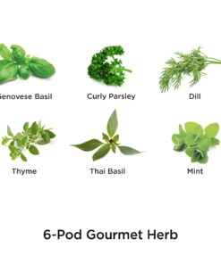 AeroGarden Gourmet Herb Seed Pod Kit - Herb Seeds for AeroGarden Indoor Garden, 6-Pod 17 71ABtRVpp L