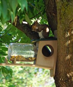 Birds Choice SNSQJAR Recycled Squirrel Jar Feeder, Squirrel Feeders, 7-1/4"L X 19"W X 15-3/4"H, Taupe w/ Green Roof 38 71ACNyaPotL