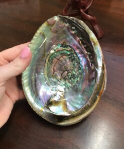 New Age Smudges & Herbs® 5 - 6 inches Premium Natural Abalone Shell &Wooden Stand~ Smudging, Cleansing Home, Meditation, Incense Holder, Home Décor, 100% Natural & Sustainable. 63 71ACZA470NL 2