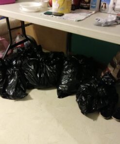 EcoRaider Bed Bug Killer Spray 1 Gallon Jug, Green + Non-Toxic, 100% Kill + Extended Protection 26 71AEfHr8ML