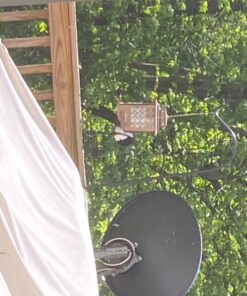 Stokes Select Bird Feeder, Metal Hopper Bird Feeder, 4 Feeding Ports, 3.6 lb Bird Seed Capacity, Copper Finish 36 71AEjoh3i9L