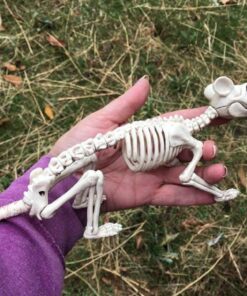 Crazy Bonez Skeleton - Rat Bonez 22 71AFPYj31OL